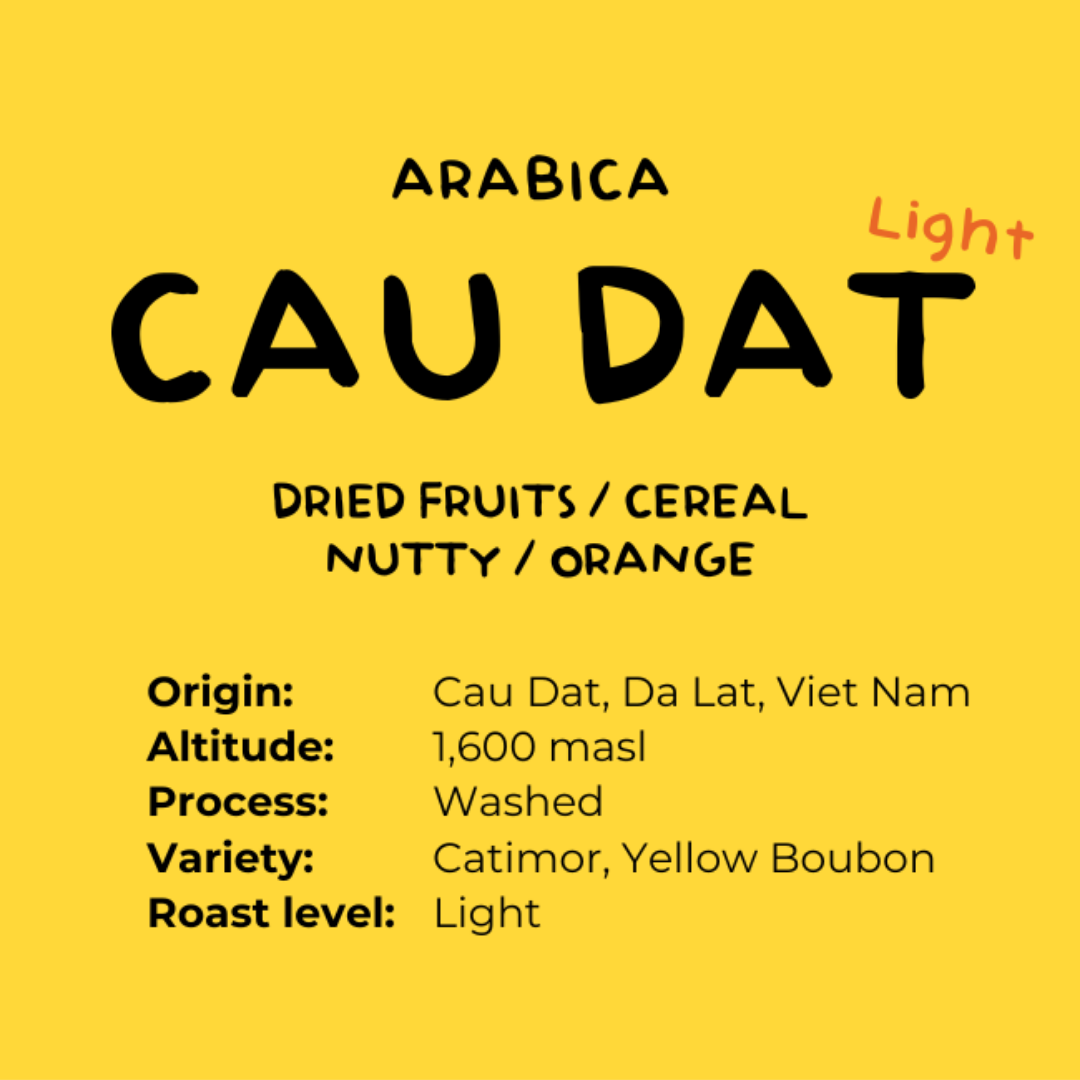 ARABICA Cau Dat