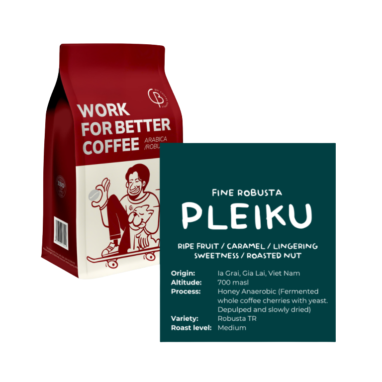 Fine Robusta Pleiku