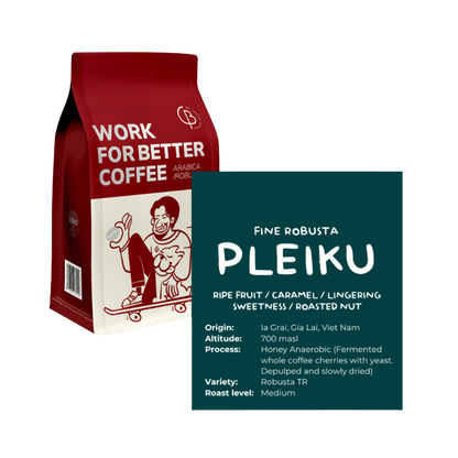 Fine Robusta Pleiku