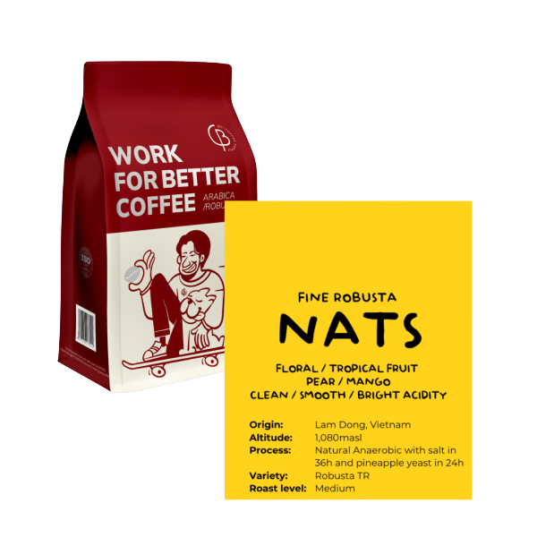 Fine Robusta NATS – Pineapple