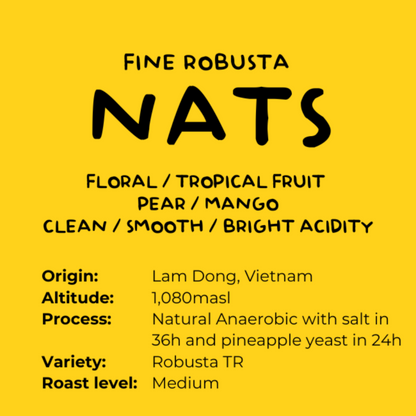 Fine Robusta NATS – Pineapple